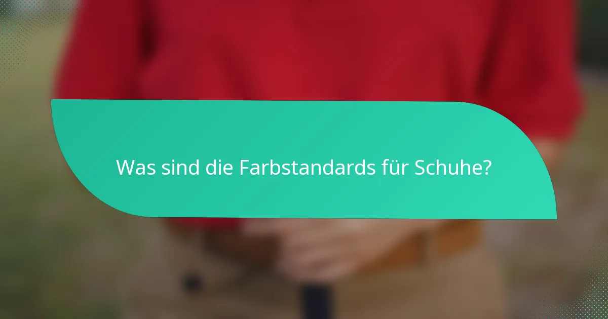 Was sind die Farbstandards für Schuhe?